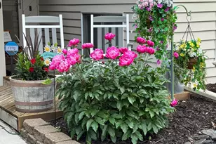 16360 Zuni St NW, Andover, MN 55304 - Photo 9