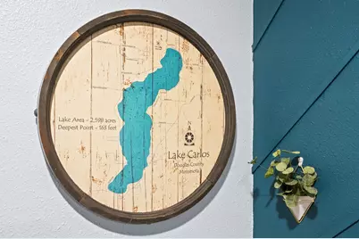 7437 Sandhill Terrace NE, Carlos, MN 56319 - Photo 43