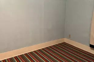 114 2nd Ave, Bellingham, MN 56212 - Photo 39