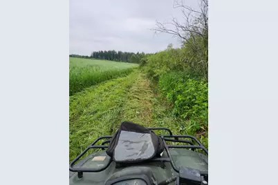 9453 Alango Road, Angora, MN 55703 - Photo 5