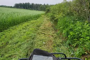 9453 Alango Rd, Angora, MN 55703 - Photo 5