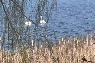 14140 Magnesium St NW, Anoka, MN 55303 - Photo 21