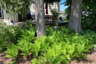 3540 McKnight Rd N, White Bear Lake, MN 55110 - Photo 57