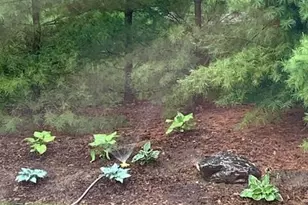 4120 Kings Rd, Chanhassen, MN 55331 - Photo 63