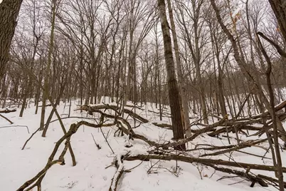 E6783 1090th Avenue, Wheeler, WI 54772 - Photo 29