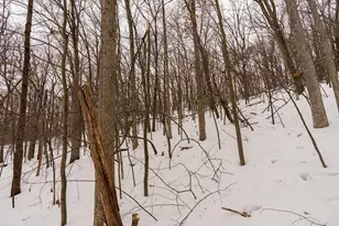 E6783 1090th Ave, Wheeler, WI 54772 - Photo 23