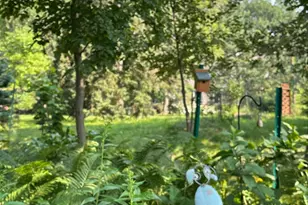 6952 Oakmere Ln NW, Rochester, MN 55901 - Photo 71