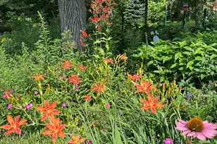 6952 Oakmere Ln NW, Rochester, MN 55901 - Photo 73