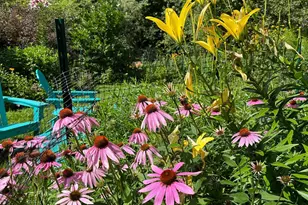 6952 Oakmere Ln NW, Rochester, MN 55901 - Photo 61