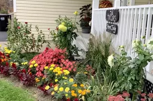 17229 Van Buren St NE, Ham Lake, MN 55304 - Photo 11