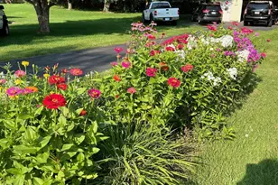 17229 Van Buren St NE, Ham Lake, MN 55304 - Photo 9