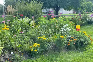 17229 Van Buren St NE, Ham Lake, MN 55304 - Photo 11