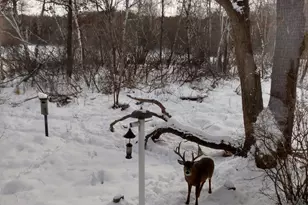 5670 Heather Ridge Dr, Shoreview, MN 55126 - Photo 35