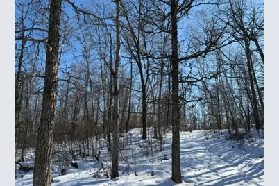 41174 Yellow Birch Lane, Emily, MN 56447 - Photo 15