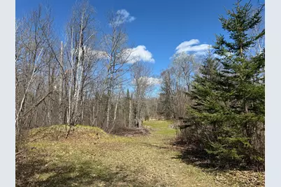 41174 Yellow Birch Lane, Emily, MN 56447 - Photo 5