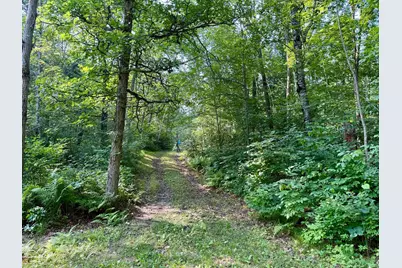 41174 Yellow Birch Lane, Emily, MN 56447 - Photo 7