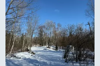 41174 Yellow Birch Lane, Emily, MN 56447 - Photo 23