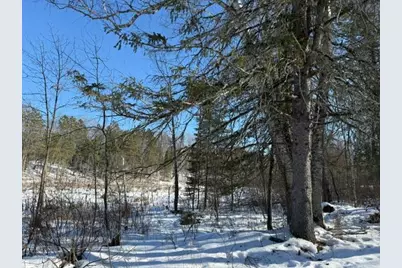 41174 Yellow Birch Lane, Emily, MN 56447 - Photo 11