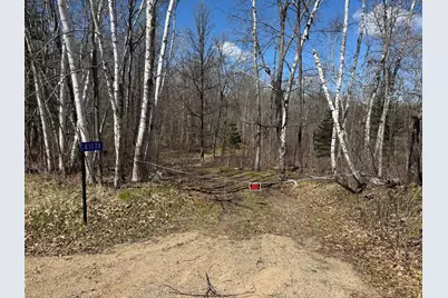 41174 Yellow Birch Lane, Emily, MN 56447 - Photo 7