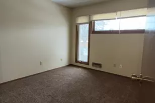 365 E 43rd St, Minneapolis, MN 55409 - Photo 33