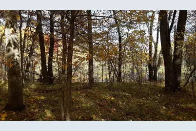 Xxx Oriole Court, Browerville, MN 56438 - Photo 5