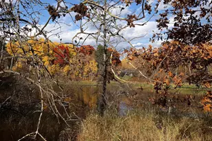 Xxx Oriole Ct, Browerville, MN 56438 - Photo 1