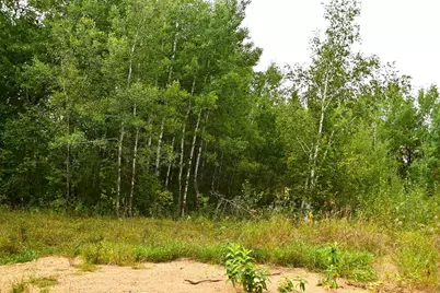 Tbd Oriole Court, Browerville, MN 56438 - Photo 9