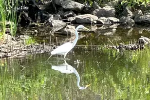 13232 Virginia Terrace, Savage, MN 55378 - Photo 43