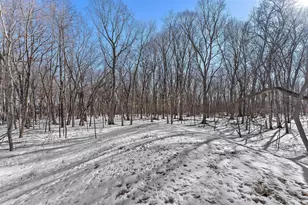 6201 Gustavus Dr, Independence, MN 55359 - Photo 89