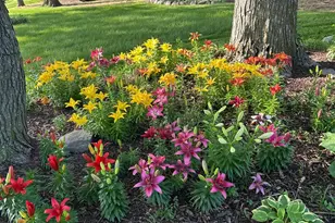 23371 650th Ave, Alden, MN 56009 - Photo 39