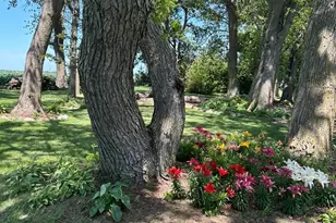 23371 650th Ave, Alden, MN 56009 - Photo 41