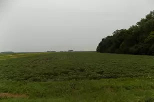 56118 820th St, Jackson, MN 56143 - Photo 1