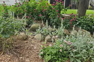 2231 52nd St NW, Rochester, MN 55901 - Photo 33