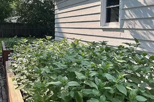 1101 12th St S, Moorhead, MN 56560 - Photo 33