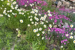 7809 119th Ave N, Champlin, MN 55316 - Photo 31