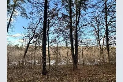 Tbd E Blueberry River Dr, Menahga, MN 56464 - Photo 5