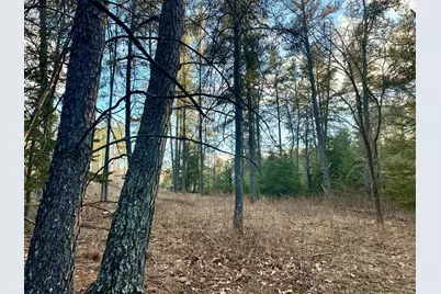 Tbd E Blueberry River Dr, Menahga, MN 56464 - Photo 9