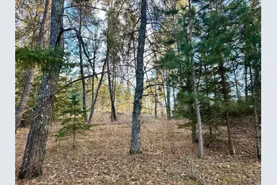 Tbd E Blueberry River Dr, Menahga, MN 56464 - Photo 1