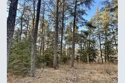 Tbd E Blueberry River Dr, Menahga, MN 56464 - Photo 3