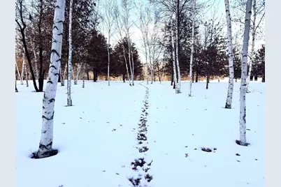 5235 313th Avenue NW, Cambridge, MN 55008 - Photo 7