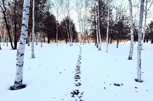 5235 313th Ave NW, Cambridge, MN 55008 - Photo 7