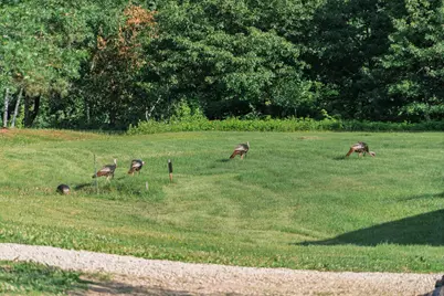 5235 313th Avenue NW, Cambridge, MN 55008 - Photo 89