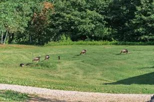 5235 313th Ave NW, Cambridge, MN 55008 - Photo 89