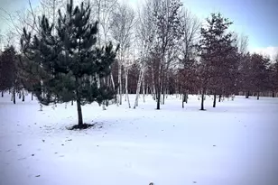 5235 313th Ave NW, Cambridge, MN 55008 - Photo 99