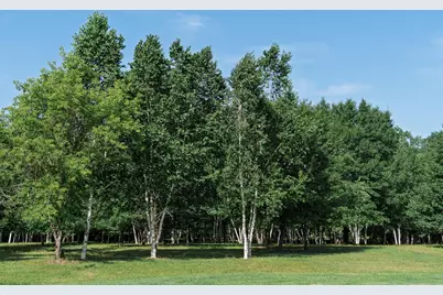 5235 313th Avenue NW, Cambridge, MN 55008 - Photo 103