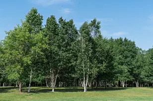 5235 313th Ave NW, Cambridge, MN 55008 - Photo 103