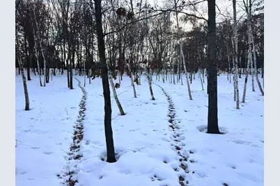 5235 313th Avenue NW, Cambridge, MN 55008 - Photo 79