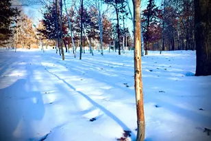 5235 313th Ave NW, Cambridge, MN 55008 - Photo 75