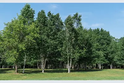 5235 313th Avenue NW, Cambridge, MN 55008 - Photo 103