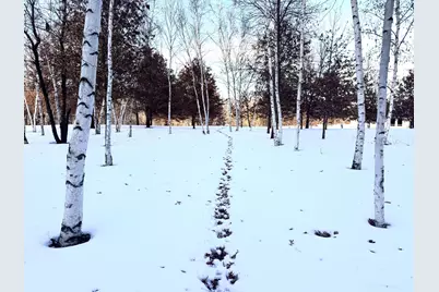 5235 313th Avenue NW, Cambridge, MN 55008 - Photo 7